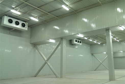 速凍冷庫設計注意事項及其具備功能有哪些? 速凍冷庫設計注意事項及其具備功能有哪些?