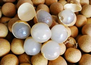 大型(桂圓)龍眼保鮮冷庫安裝建造