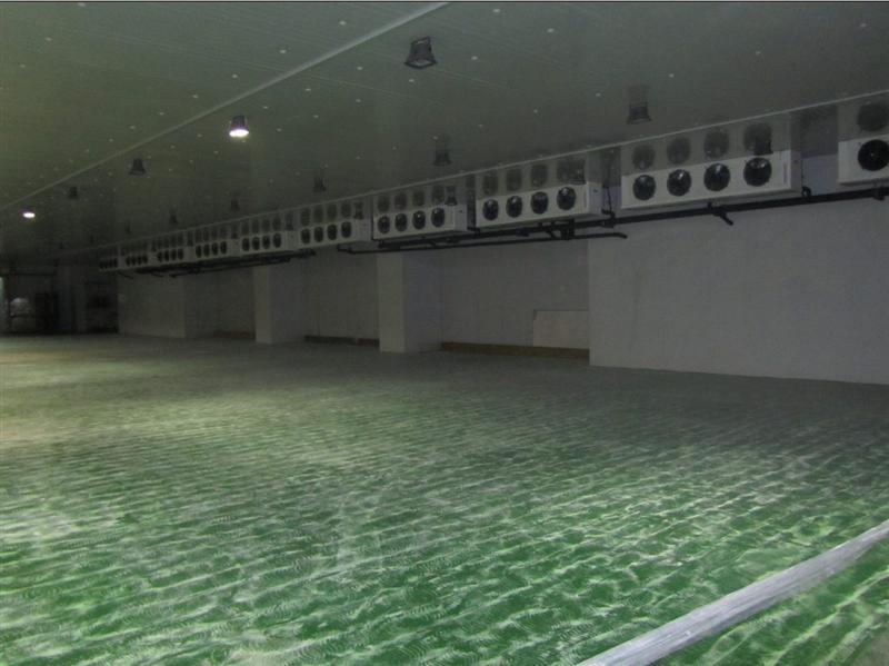 食品速凍冷庫安裝設計,速凍冷庫工作原理