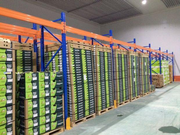 果蔬辣椒保鮮冷庫安裝，上海青椒保鮮冷庫造價