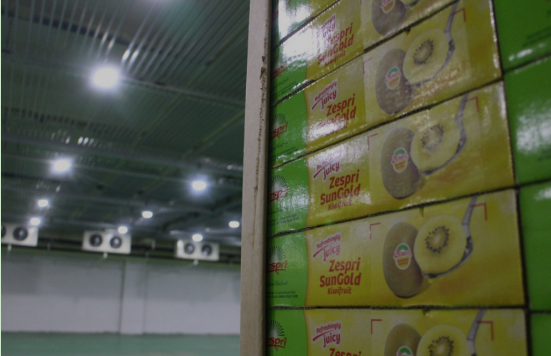 500m3以下小型冷庫造價(臍橙)投資