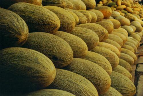 建一座哈密瓜保鮮庫需要多少投資?冷庫設備費用