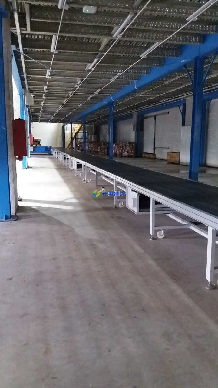 冷凍肉類冷庫設計方案報價,一套凍肉低溫庫多少錢