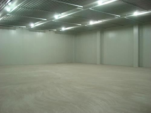 西蘭花冷庫存儲多久,100噸西蘭花冷庫建造多少錢