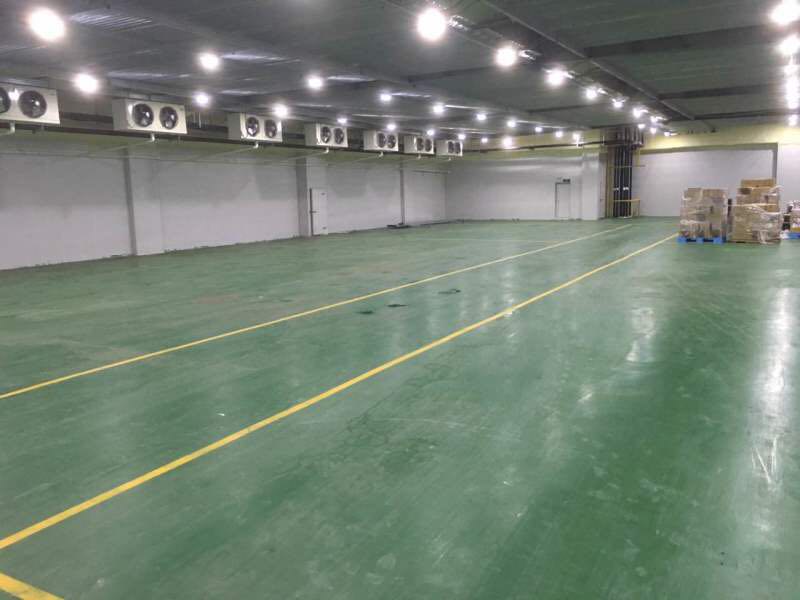 800平蘋果冷庫設(shè)計(jì),水果冷藏庫安裝