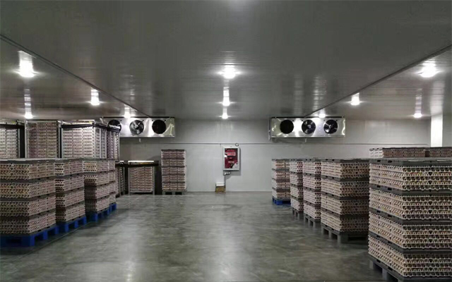 1000噸0-5℃蘋果冷藏庫多少錢,2-4℃冷藏庫建設