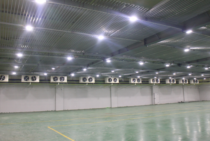 一個300噸香梨冷藏庫預算、香梨冷藏庫造價多少