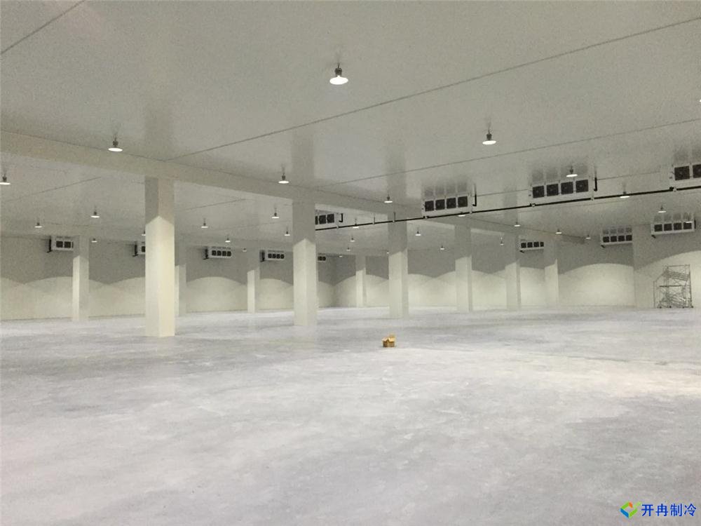 浙江建-60℃金槍魚超低溫冷庫,冷庫總價預算多少